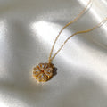 Regalo speciale I Rosa eterna e collana 