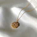 Regalo speciale I Rosa eterna e collana 